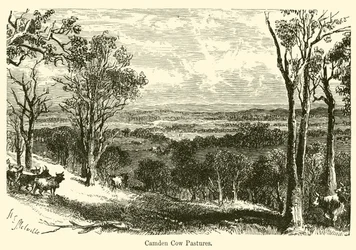 Camden Cow Pastures
